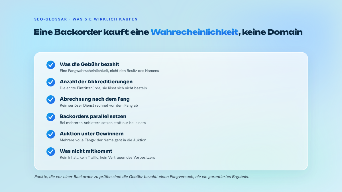 Liste mit sechs Punkten, die erklären, was ein Drop-Catching-Dienst tatsächlich verkauft: eine Fangwahrscheinlichkeit, gewichtet nach der Anzahl der Registrar-Akkreditierungen, eine Abrechnung nach erfolgtem Fang, eine Backorder, die bei mehreren Anbietern gesetzt wird, und eine zurückgeholte Domain ohne Inhalt und ohne Traffic.
