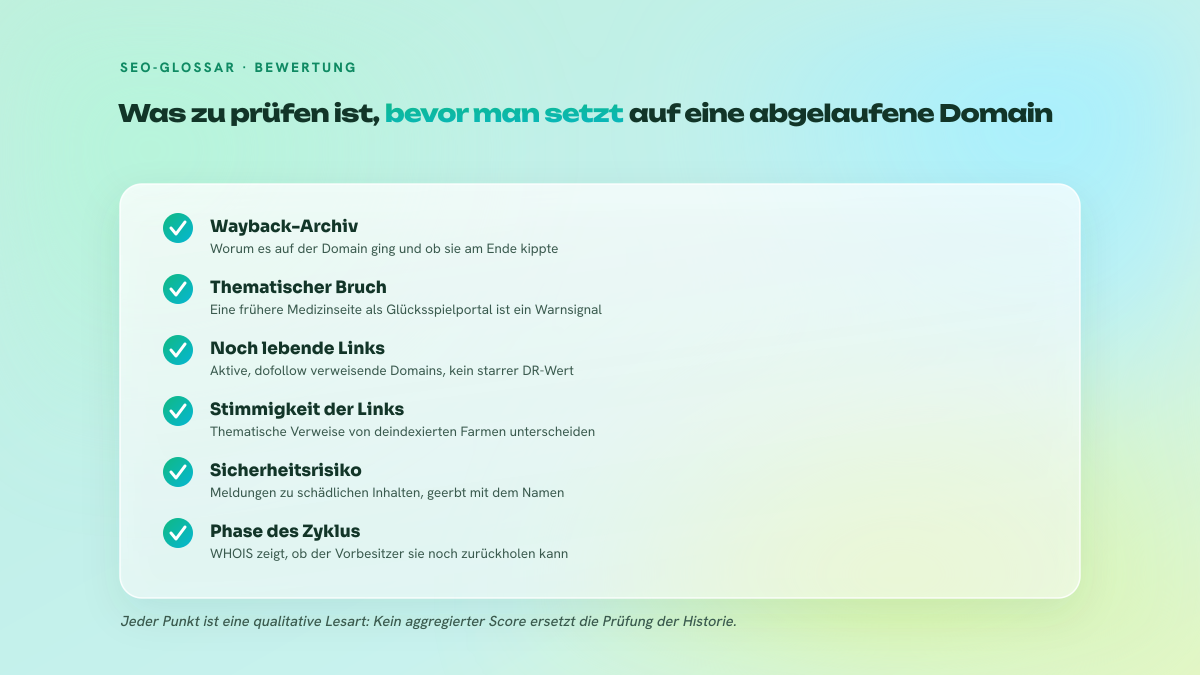 Checkliste mit sechs Prüfungen vor dem Kauf einer abgelaufenen Domain: Wayback-Archiv, Profil lebender Links, Sicherheit, Phase des Zyklus, thematische Kontinuität und Sprache des Marktes.