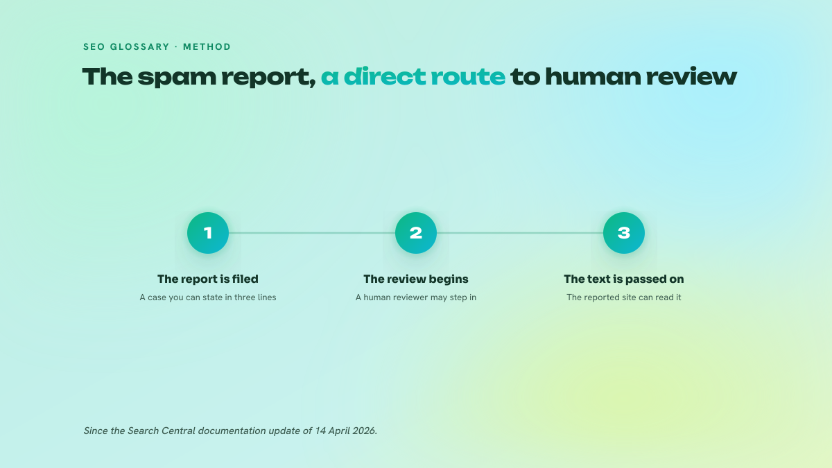 Three-step diagram of what happens to a spam report since April 2026: the report is filed, a human review may follow, the text is passed on to the reported site.